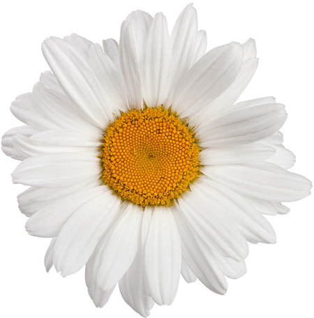 Biogance My Puppy Shampoo - Kölyökkutya sampon