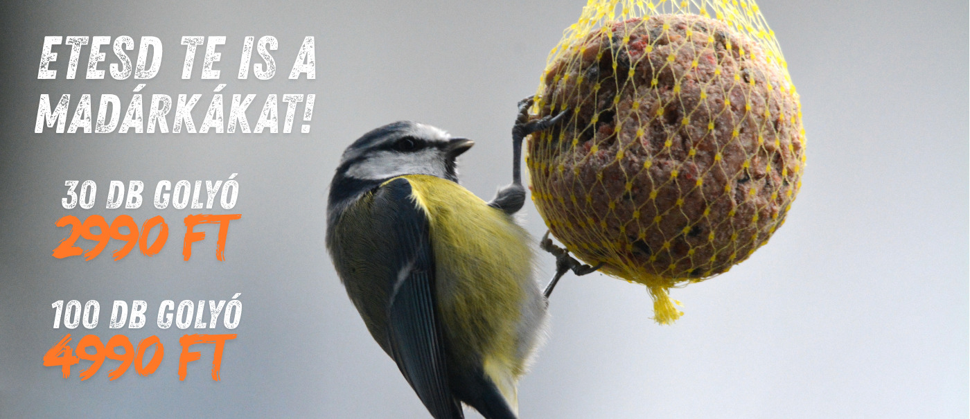 Télen se feledkezz meg a kert apró vendégeiről!