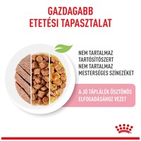 Royal Canin Kitten Gravy Multipack - Kölyök macska szószos, zselés, pépes multipack nedves táp #2