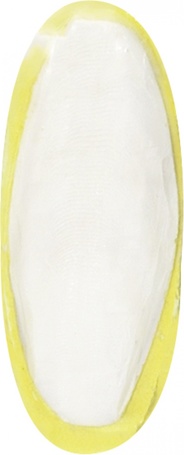 Flamingo szépia csőrkoptató - banános