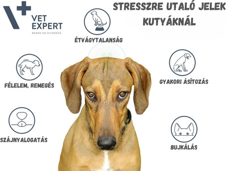 Vet Expert KalmVet