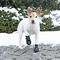 Trixie Walker Active Protective Boots - Kutyacipő