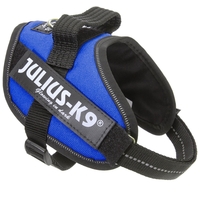 Julius-K9 IDC kék powerhám kutyáknak #2