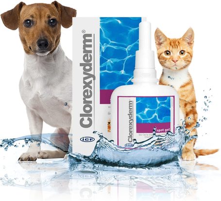Clorexyderm Spot Gel - Antiszeptikus bőrvédő gél kutyáknak és macskáknak