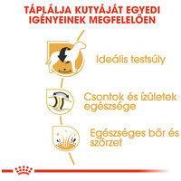 Royal Canin Labrador Adult - Labrador Retriever felnőtt kutya száraz táp #3