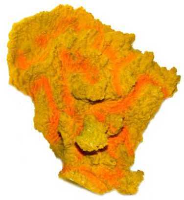 Narancssárga korallszirt akvárium dekoráció