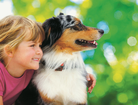 Belcando Junior Grain-Free Poultry