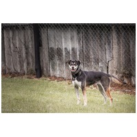 Stacy, 6 éves leányka #9