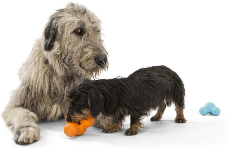 West Paw Tux - Jutalomfalattal tölthető játék