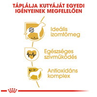 Royal Canin Boxer Adult - Boxer felnőtt kutya száraz táp #4