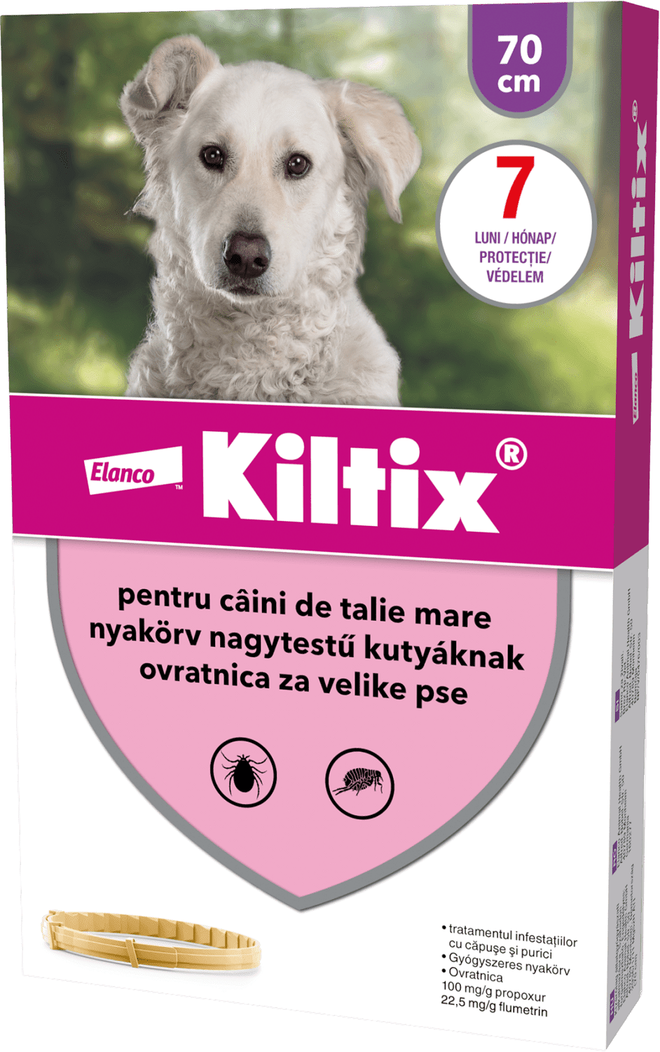 Zgardă Kiltix - zoom