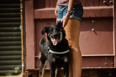 Marcell, 5 éves kan