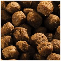 Happy Dog Fit & Vital Mini Adult #7