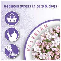 Beaphar Calming Home Spray - Nyugtató spray #3