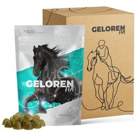 Geloren Horse gelatină protecția articulațiilor cailor