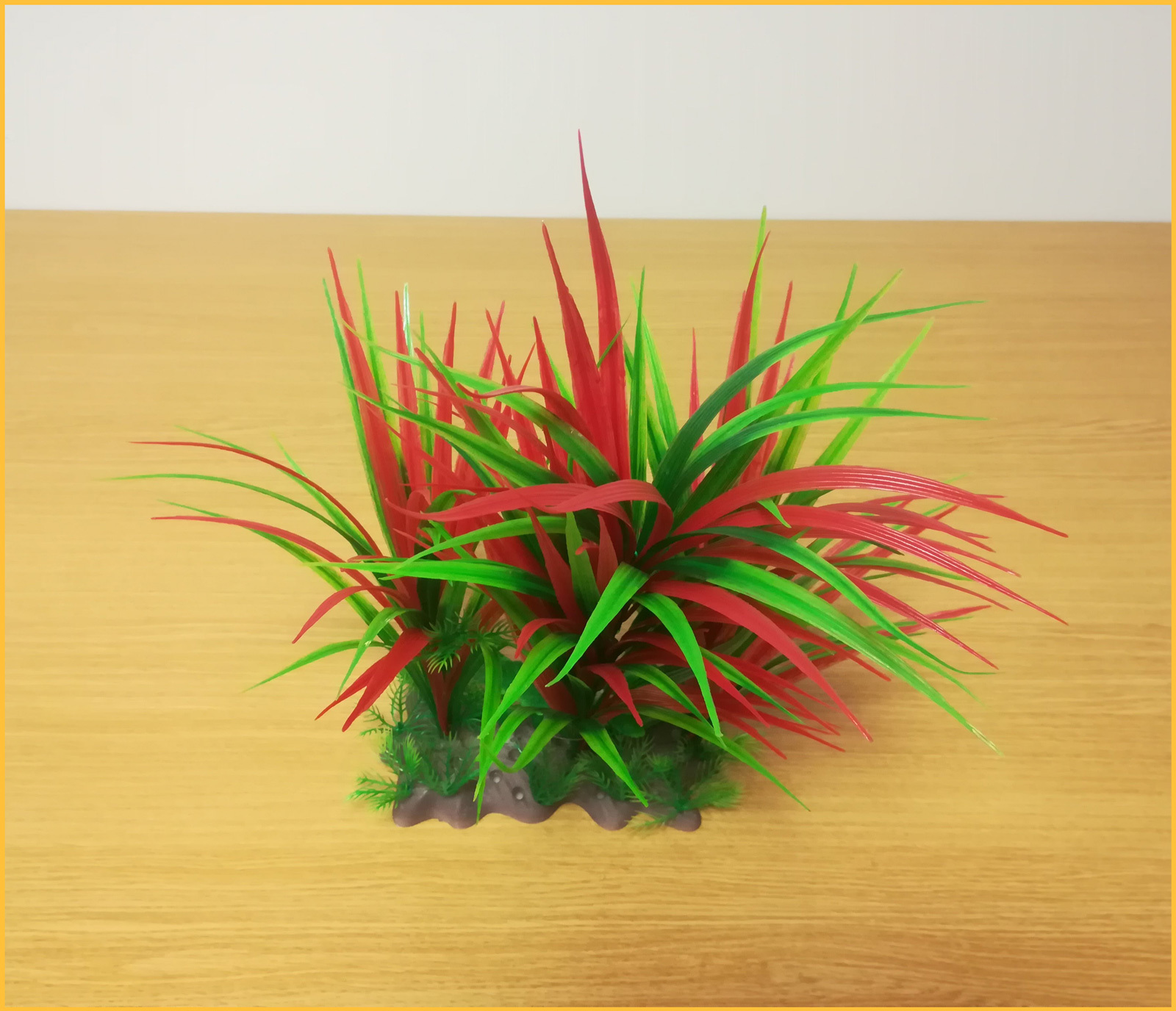 Plantă de acvariu cu frunze lungi, roșii și verzi - zoom