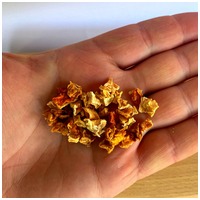 Barf Love sütőtök tréning jutalomfalat kutyáknak #2