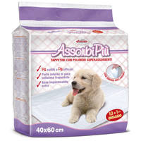 AssorbiPiu kutyapelenka #15