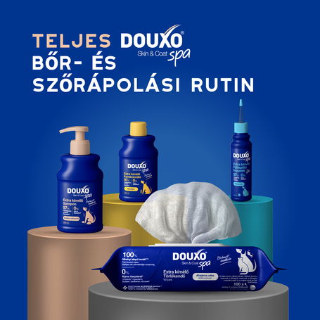 Douxo Spa vedléscsökkentő sampon kutyáknak