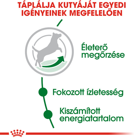 Royal Canin Mini Adult 8+ | Kistestű idősödő kutya száraz táp