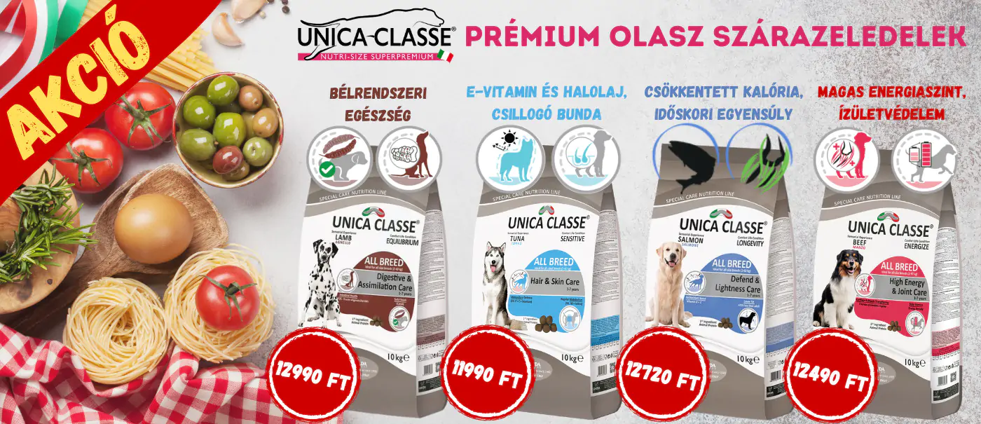 Unica Classe