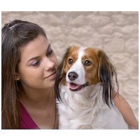 Belcando Finest Croc | Eledel túlsúlyos kistestű és közepes testű kutyák számára #9