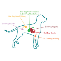 Eminent Diet Dog Gastrointestinal / Hypoallergenic | emésztési problémás és allergiára hajlamos kutyáknak #2