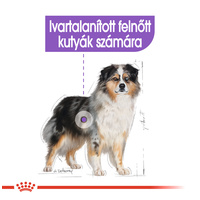 Royal Canin Medium Sterilised - Száraz táp ivartalanított, közepes testű felnőtt kutyák részére #2