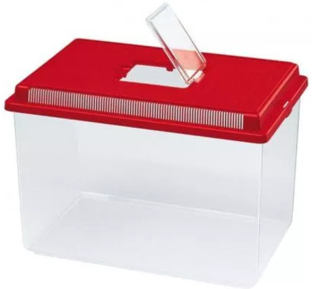 Hüllőszállító fauna-box, klasszikus téglalap forma