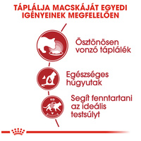 Royal Canin Instinctive Jelly - Felnőtt macska zselés nedves táp #4