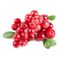 FitActive Next Hypoallergenic Mono Protein Lamb #3