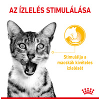 Royal Canin Sensory Taste Jelly - Zselés felnőtt macska nedves táp fokozott íz élménnye #2