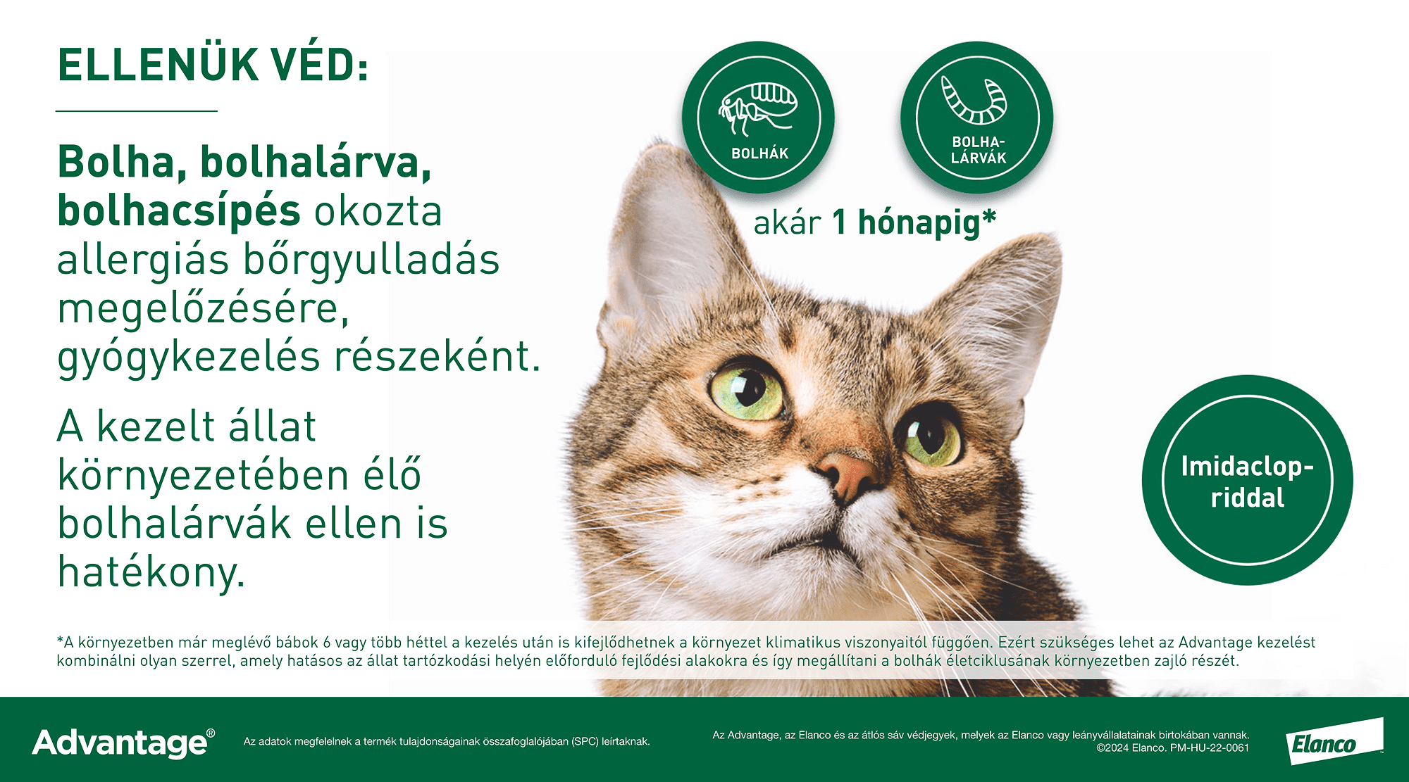 Advantage 80 spot on macskáknak és nyulaknak