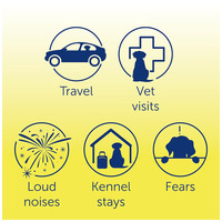 Adaptil Transport nyugtató spray kutyáknak #7