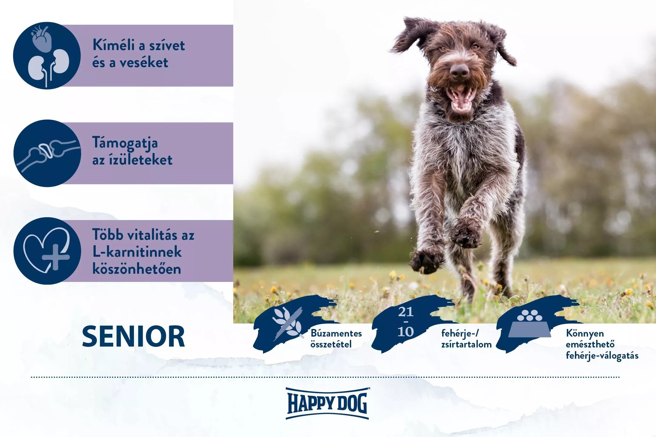 Happy Dog Supreme Fit & Well Senior - zoom