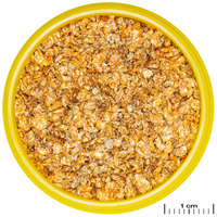 JBL ProNovo Daph daphnia #2