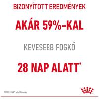 Royal Canin Dental Care - Száraz táp felnőtt macskák részére a fogkőképződés csökkentéséért #4