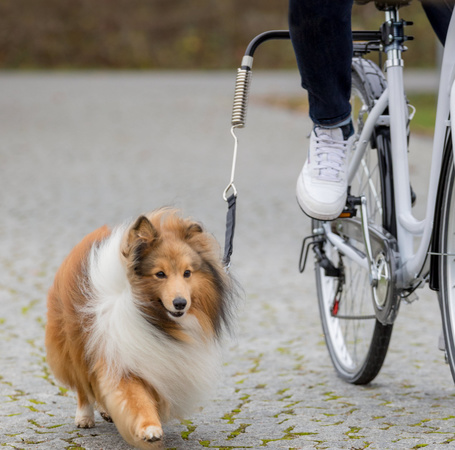 Trixie biciklis szett közepes- és kistestű kutyának