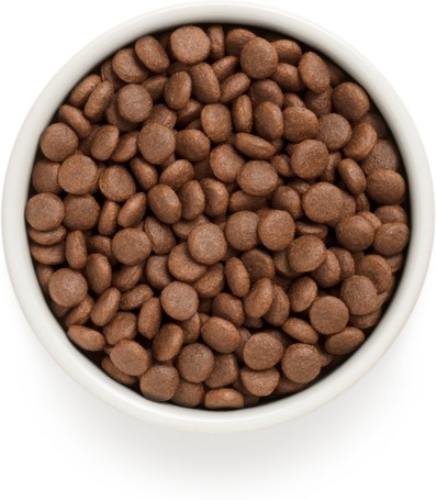 Grandorf Grain Free Duck & Sweet Potato Adult All Breeds