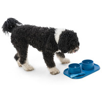 West Paw etetőtál #9