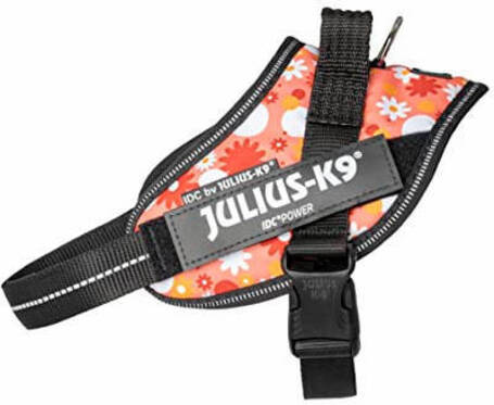 Julius-K9 IDC virágos rózsaszín powerhám kutyáknak