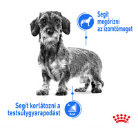 Royal Canin Mini Light Weight Care - Száraz táp hízásra hajlamos, kistestű felnőtt kutyák részére #2