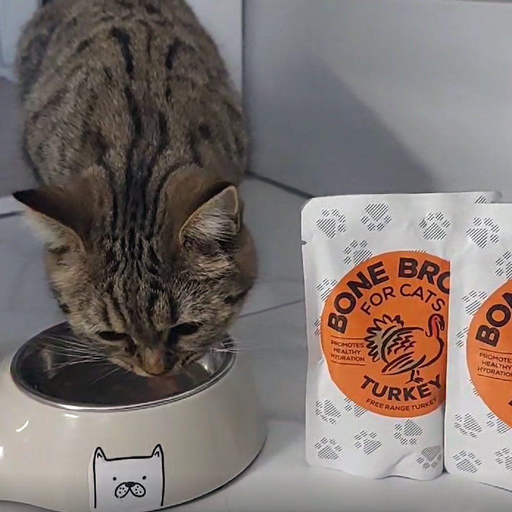 Food Studio supă de oase de curcan bio pentru pisici - zoom