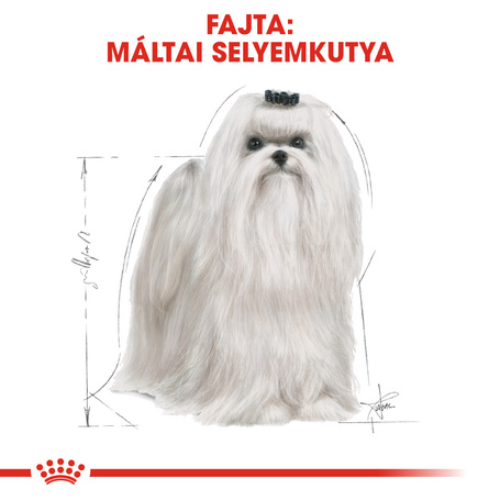 Royal Canin Maltese Adult - Máltai selyemkutya felnőt száraz táp