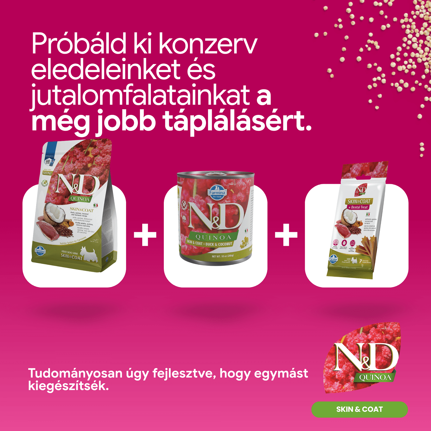 N&D Dog Grain Free Quinoa Skin & Coat Duck – Bőr- és szőrproblémákra | Szuperprémium kutyatáp