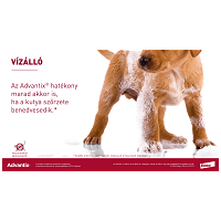 Advantix Spot On kutyáknak #7