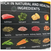 Julius-K9 GF Hypoallergenic Adult Salmon & Spinach #6