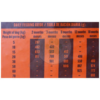 Visán Banters Dog Puppy & Junior Large Breed #6