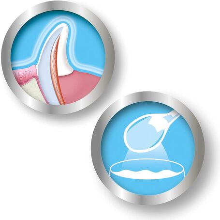 Beaphar Dental Powder fogápoló por kutyáknak és macskáknak