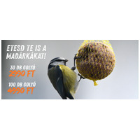 Télen se feledkezz meg a kert apró vendégeiről!